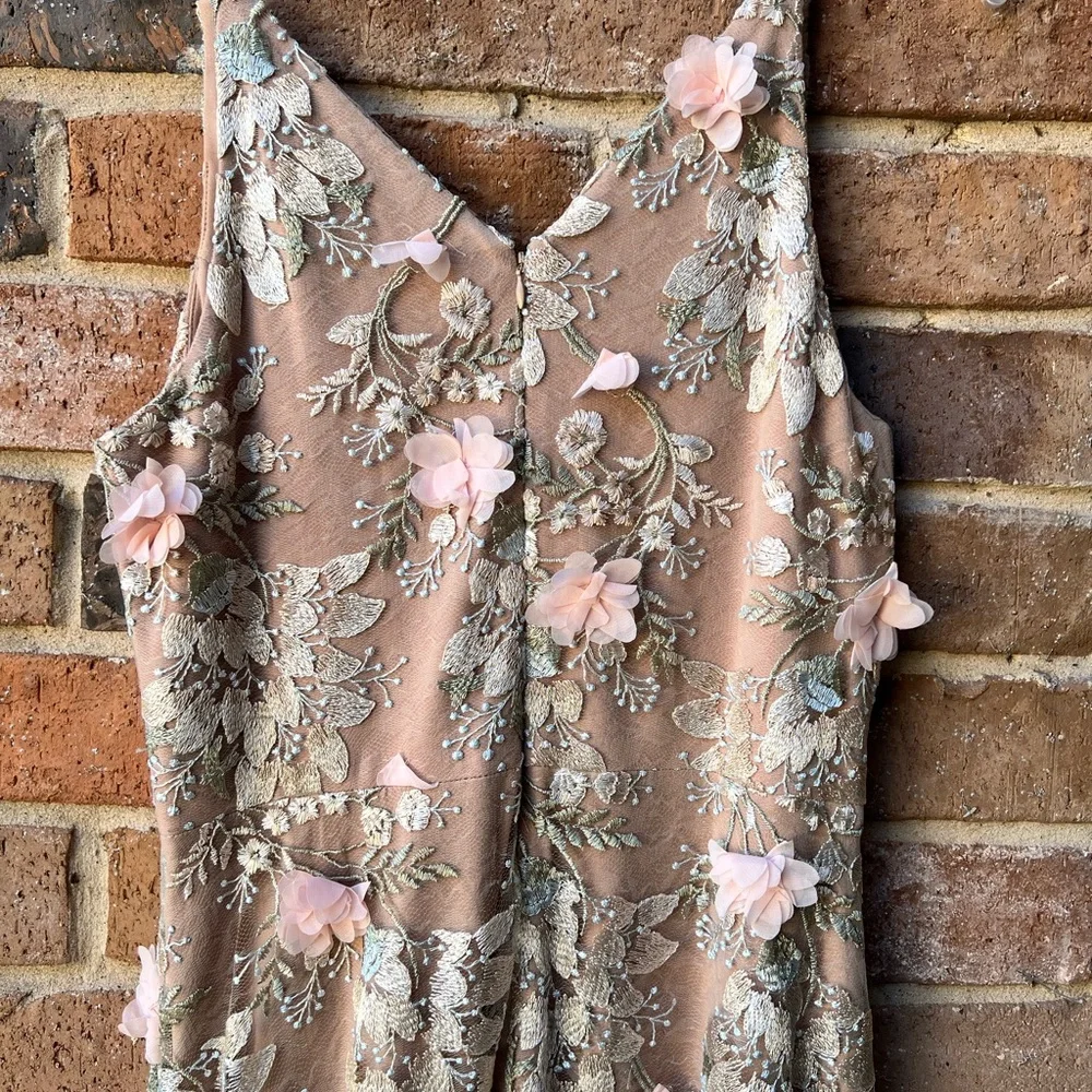 Dress the Population Blush Floral Embroidered Tulle Long Dress - Picture 6 of 16